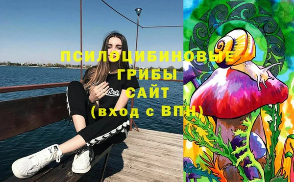 соль ск Армянск