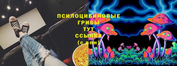 соль ск Армянск