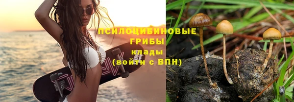 соль ск Армянск